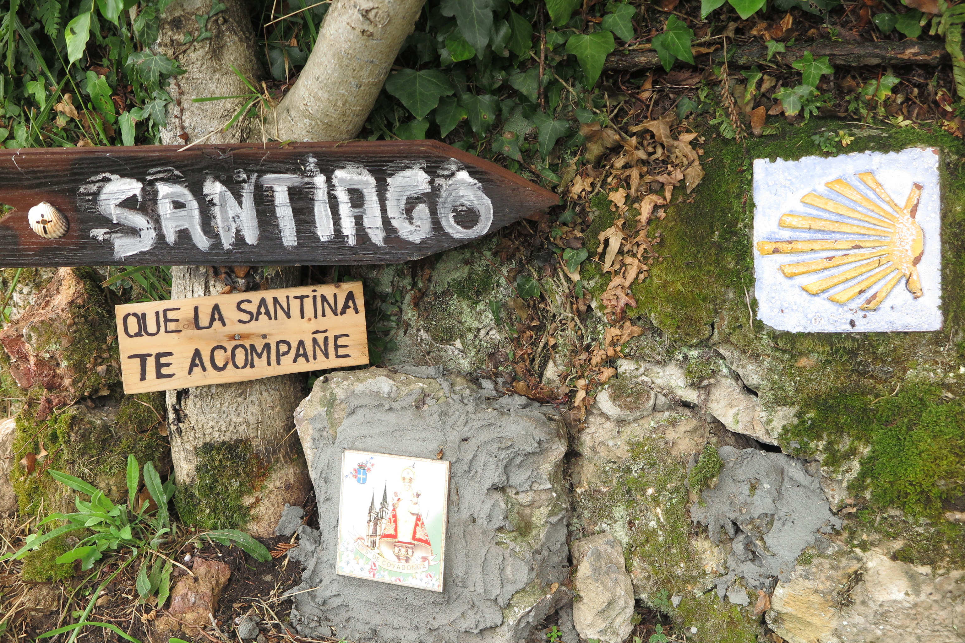 Galería