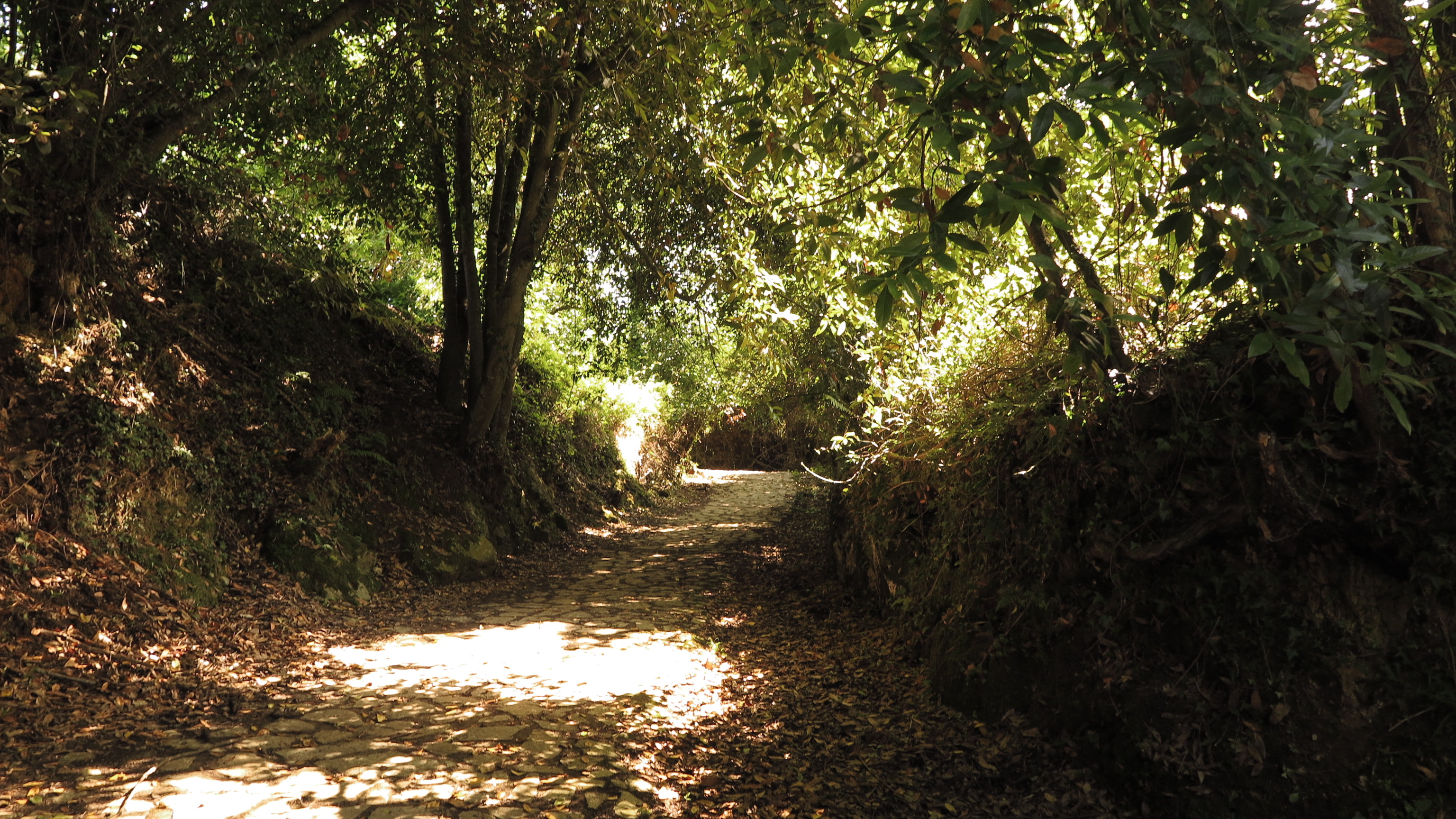 Peligros del camino