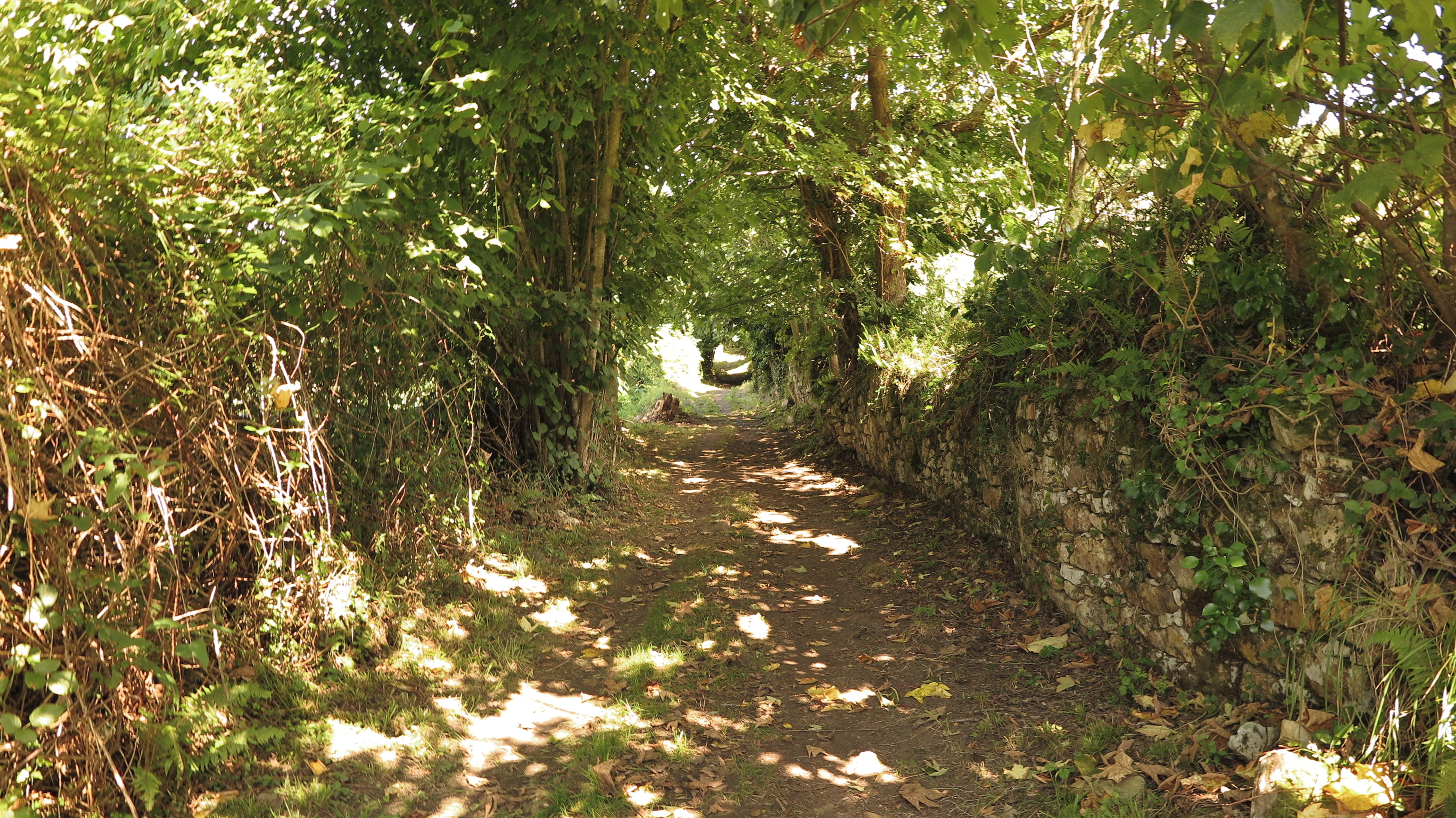 Vecinos del camino