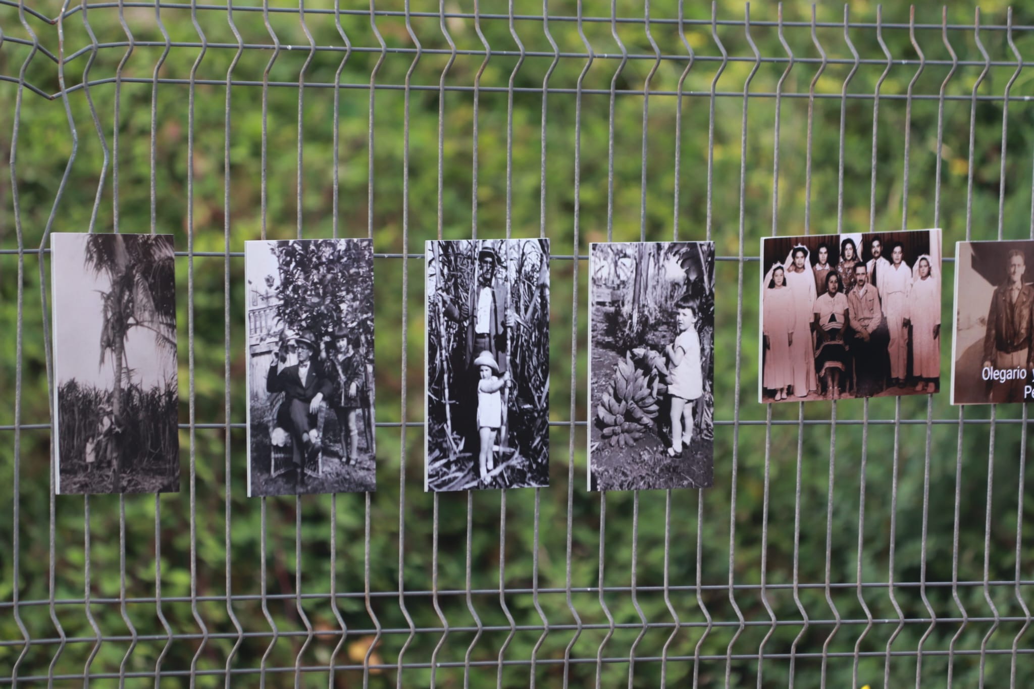 Día del Socio 2025. Homenaje a los Emigrantes.