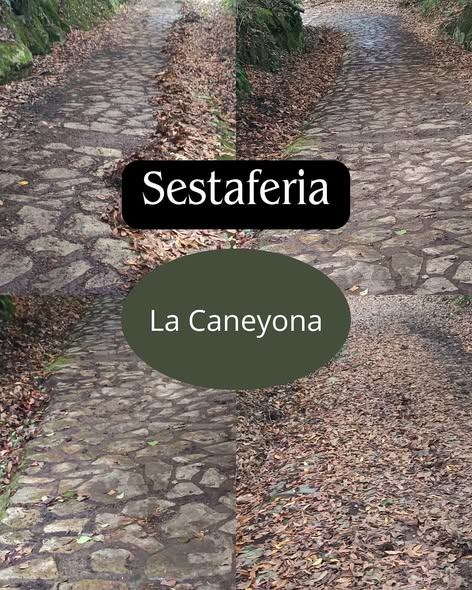 Nueva sestaferia en la Caneyona